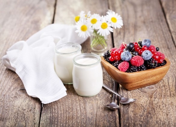 Мезофильная молочнокислая культура