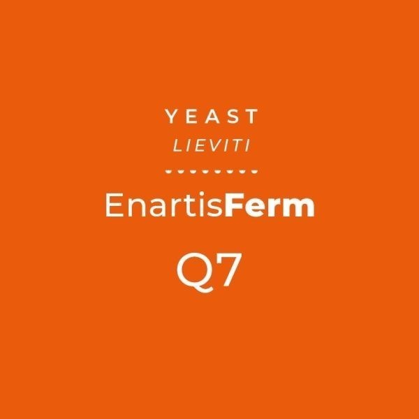 ENARTISFERM Q7 ENARTISFERM Q7